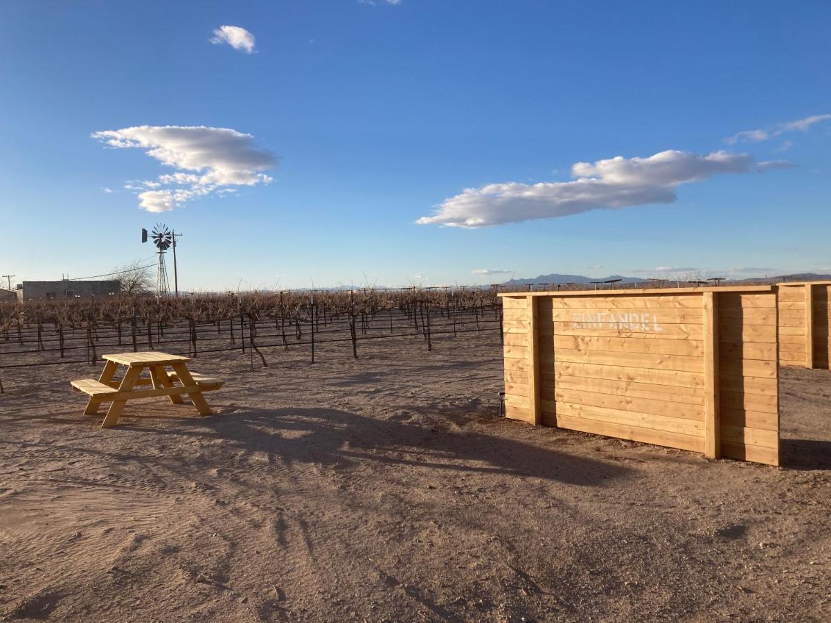 Tarantula Ranch Campground & Vineyard Near Death Valley National Park Amargosa Valley Zewnętrze zdjęcie
