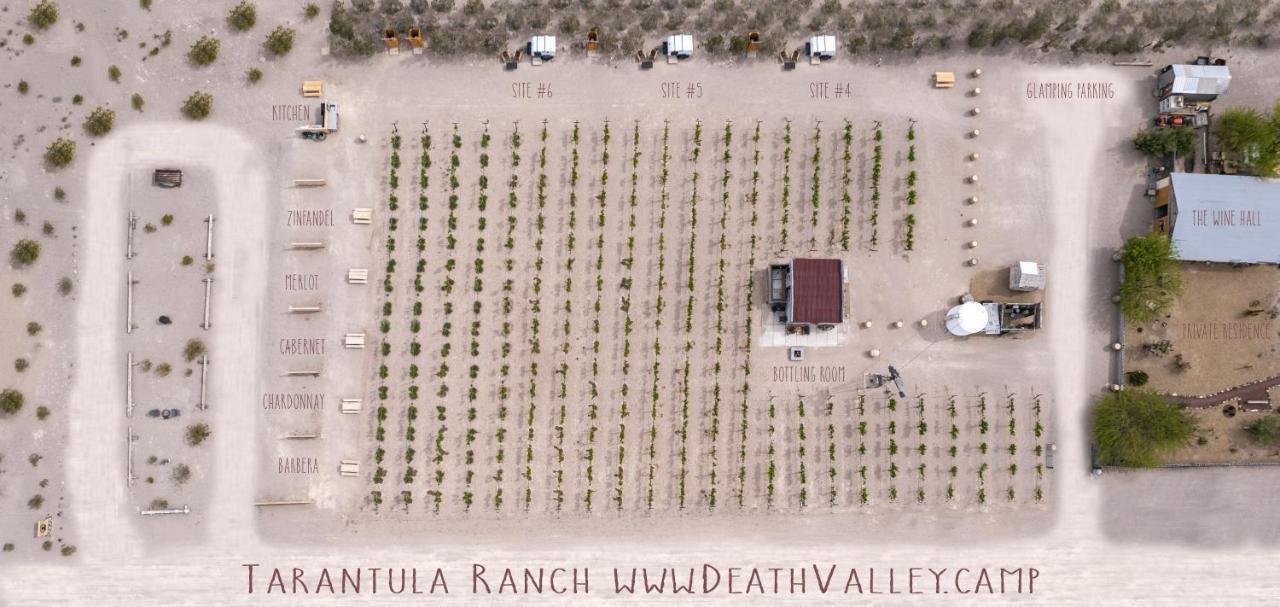 Tarantula Ranch Campground & Vineyard Near Death Valley National Park Amargosa Valley Zewnętrze zdjęcie